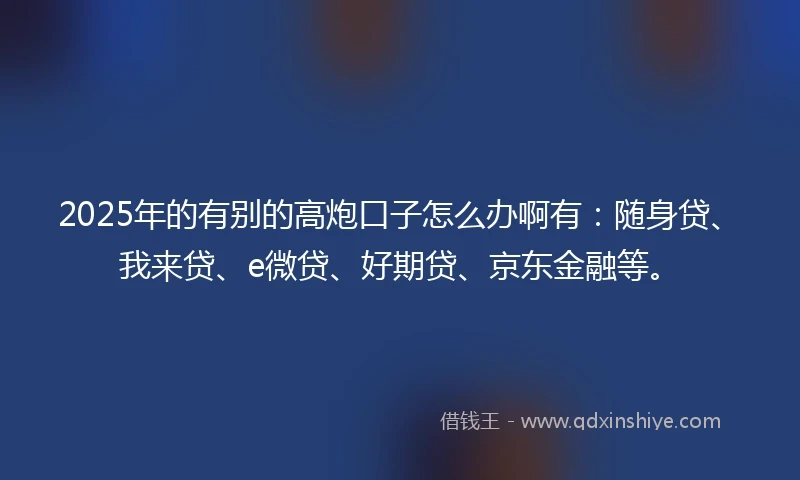 2025年的有别的高炮口子怎么办啊有：随身贷、我来贷、e微贷、好期贷、京东金融等。