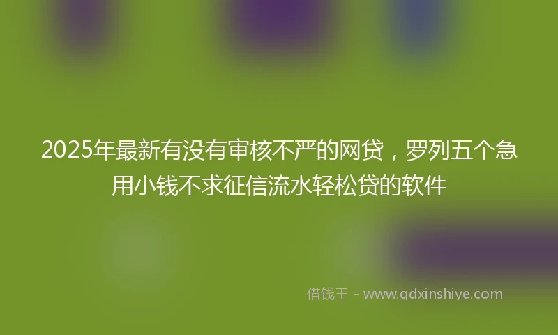 2025年最新有没有审核不严的网贷，罗列五个急用小钱不求征信流水轻松贷的软件