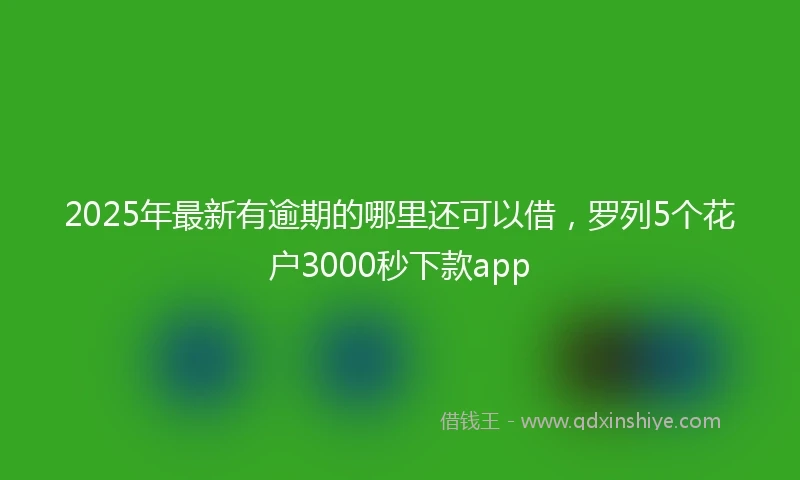 2025年最新有逾期的哪里还可以借，罗列5个花户3000秒下款app