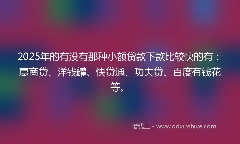 2025年的有没有那种小额贷款下款比较快的有：惠商贷、洋钱罐、快贷通、功夫贷、百度有钱花等。