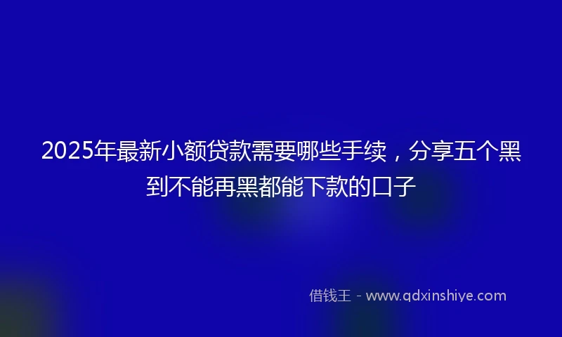 2025年最新小额贷款需要哪些手续，分享五个黑到不能再黑都能下款的口子