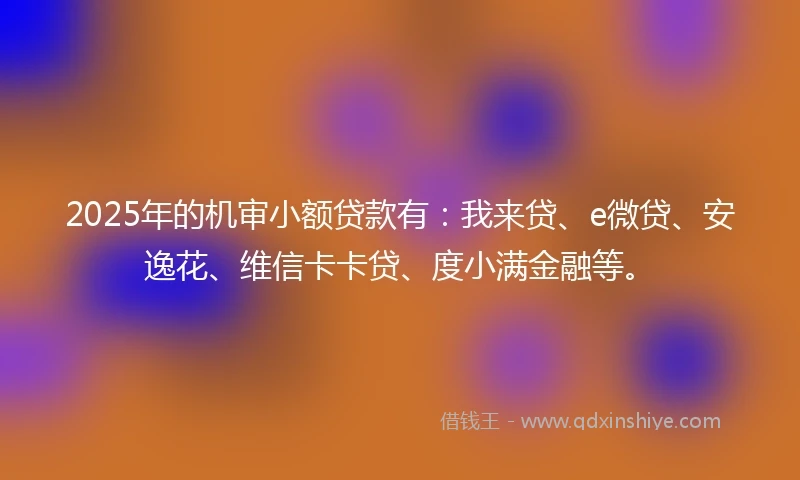 2025年的机审小额贷款有：我来贷、e微贷、安逸花、维信卡卡贷、度小满金融等。