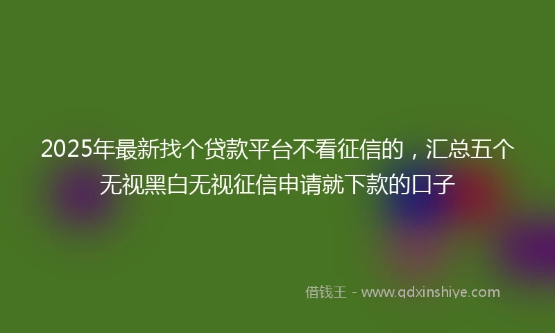 2025年最新找个贷款平台不看征信的，汇总五个无视黑白无视征信申请就下款的口子
