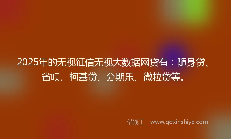 2025年的无视征信无视大数据网贷有：随身贷、省呗、柯基贷、分期乐、微粒贷等。