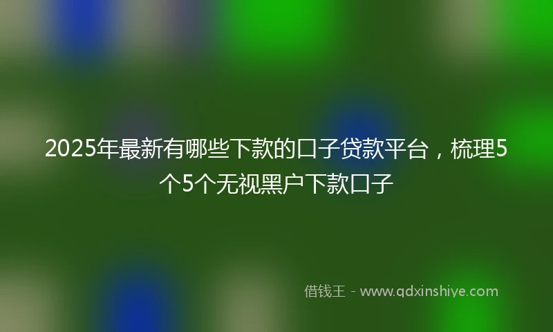 2025年最新有哪些下款的口子贷款平台，梳理5个5个无视黑户下款口子