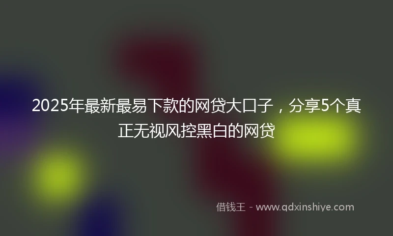 2025年最新最易下款的网贷大口子，分享5个真正无视风控黑白的网贷