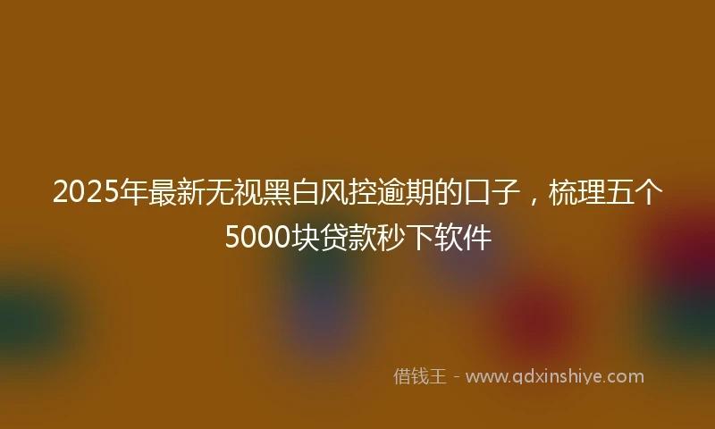 2025年最新无视黑白风控逾期的口子，梳理五个5000块贷款秒下软件