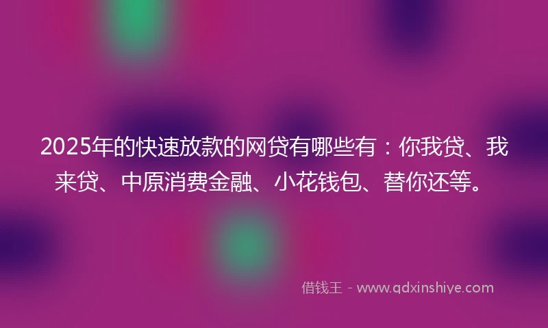 2025年的快速放款的网贷有哪些有：你我贷、我来贷、中原消费金融、小花钱包、替你还等。