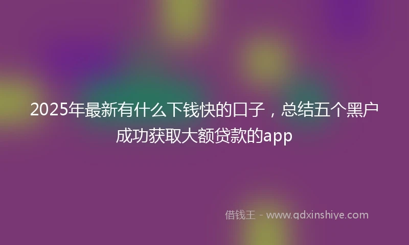 2025年最新有什么下钱快的口子，总结五个黑户成功获取大额贷款的app