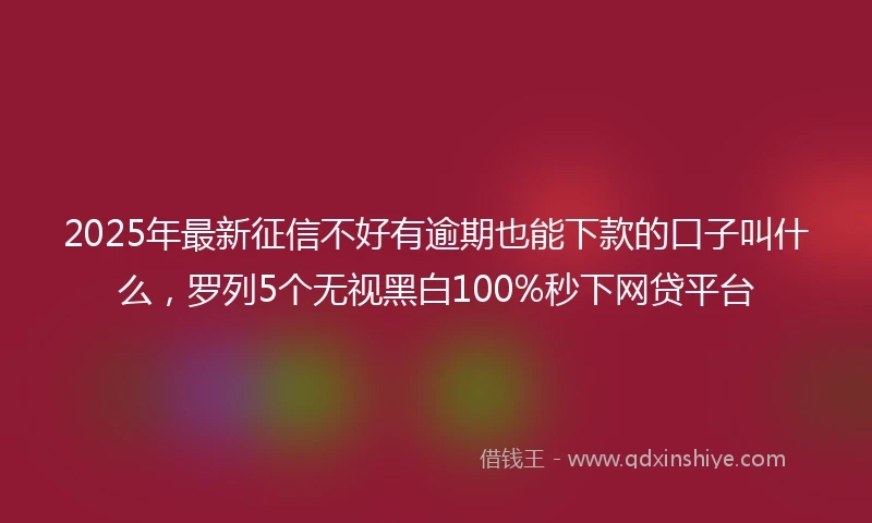2025年最新征信不好有逾期也能下款的口子叫什么，罗列5个无视黑白100%秒下网贷平台