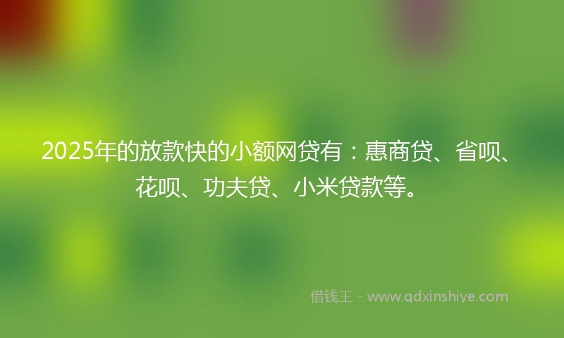 2025年的放款快的小额网贷有：惠商贷、省呗、花呗、功夫贷、小米贷款等。