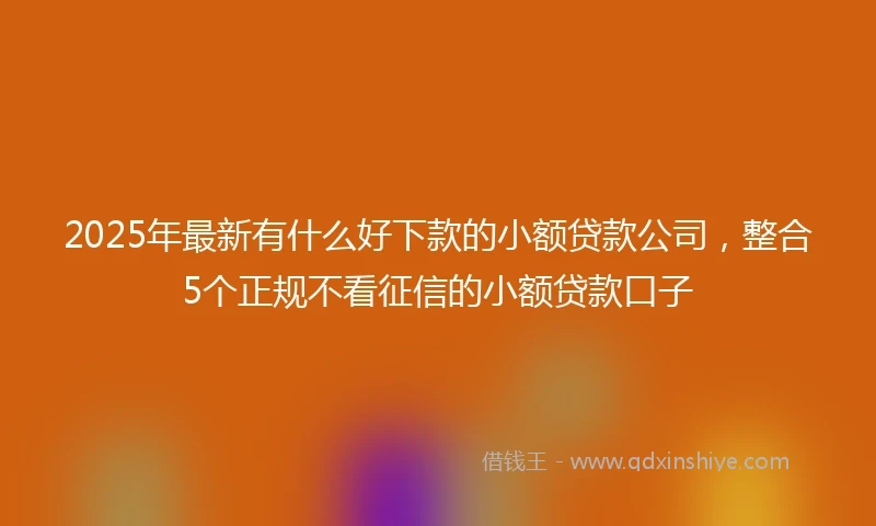 2025年最新有什么好下款的小额贷款公司，整合5个正规不看征信的小额贷款口子