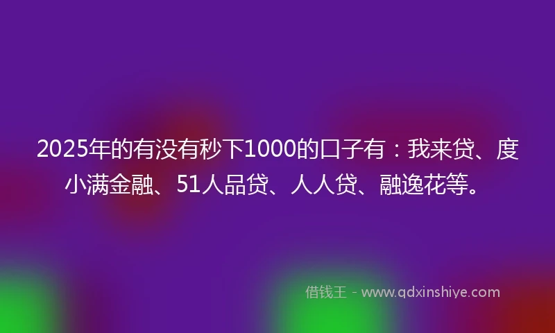 2025年的有没有秒下1000的口子有：我来贷、度小满金融、51人品贷、人人贷、融逸花等。