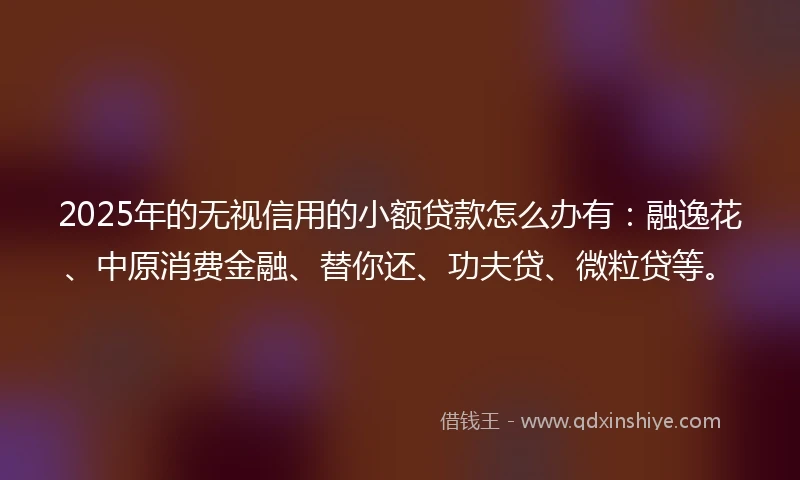 2025年的无视信用的小额贷款怎么办有：融逸花、中原消费金融、替你还、功夫贷、微粒贷等。