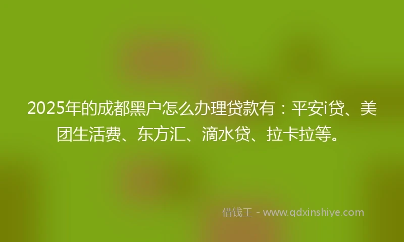 2025年的成都黑户怎么办理贷款有：平安i贷、美团生活费、东方汇、滴水贷、拉卡拉等。