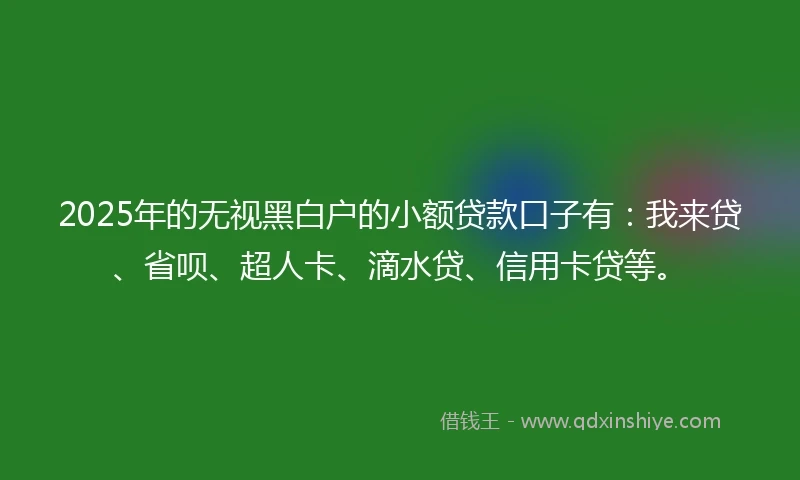 2025年的无视黑白户的小额贷款口子有：我来贷、省呗、超人卡、滴水贷、信用卡贷等。