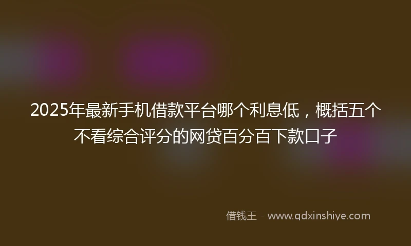 2025年最新手机借款平台哪个利息低，概括五个不看综合评分的网贷百分百下款口子