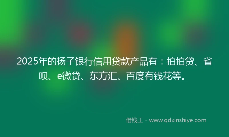 2025年的扬子银行信用贷款产品有：拍拍贷、省呗、e微贷、东方汇、百度有钱花等。