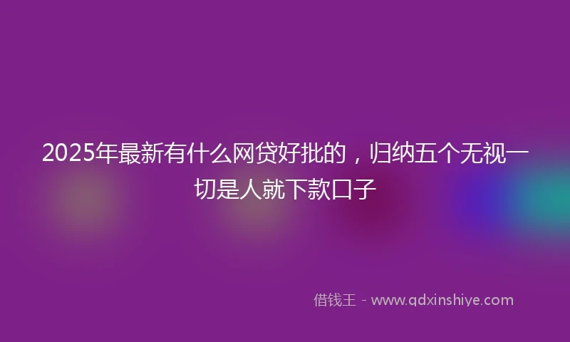 2025年最新有什么网贷好批的，归纳五个无视一切是人就下款口子