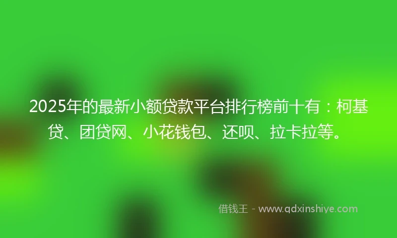 2025年的最新小额贷款平台排行榜前十有：柯基贷、团贷网、小花钱包、还呗、拉卡拉等。