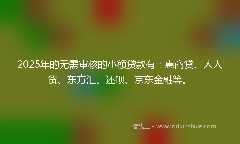 2025年的无需审核的小额贷款有：惠商贷、人人贷、东方汇、还呗、京东金融等。