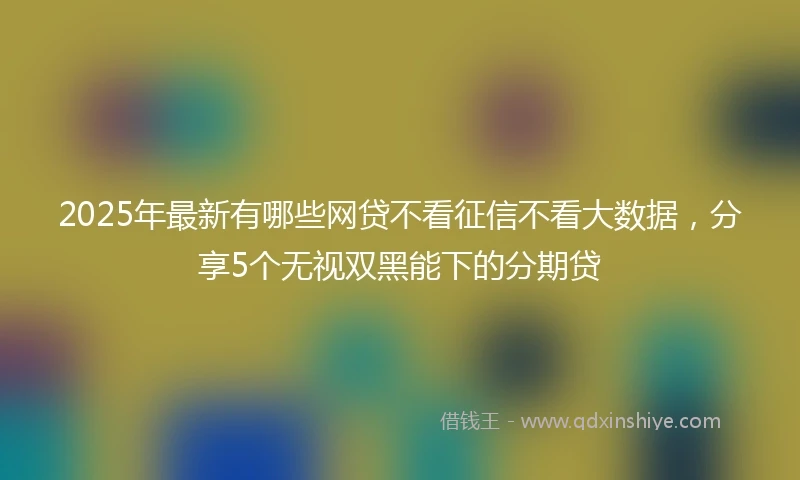 2025年最新有哪些网贷不看征信不看大数据，分享5个无视双黑能下的分期贷