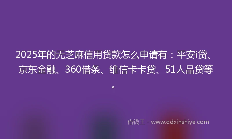 2025年的无芝麻信用贷款怎么申请有：平安i贷、京东金融、360借条、维信卡卡贷、51人品贷等。