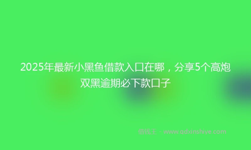2025年最新小黑鱼借款入口在哪,分享5个高炮双黑逾期必下款口子