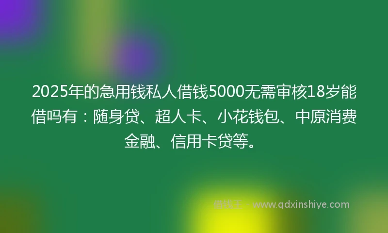 2025年的急用钱私人借钱5000无需审核18岁能借吗有：随身贷、超人卡、小花钱包、中原消费金融、信用卡贷等。