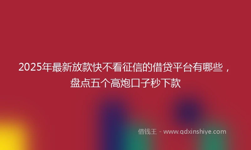 2025年最新放款快不看征信的借贷平台有哪些，盘点五个高炮口子秒下款