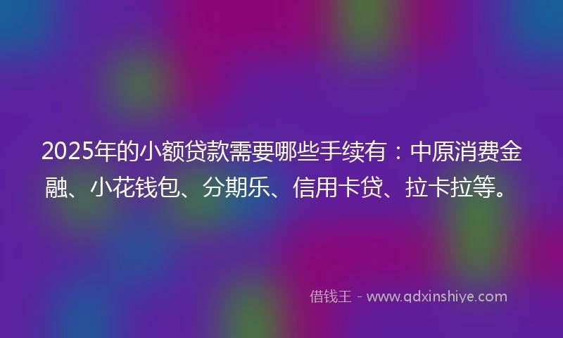 2025年的小额贷款需要哪些手续有：中原消费金融、小花钱包、分期乐、信用卡贷、拉卡拉等。
