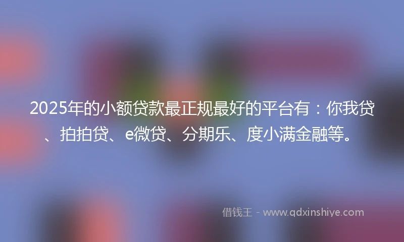 2025年的小额贷款最正规最好的平台有：你我贷、拍拍贷、e微贷、分期乐、度小满金融等。
