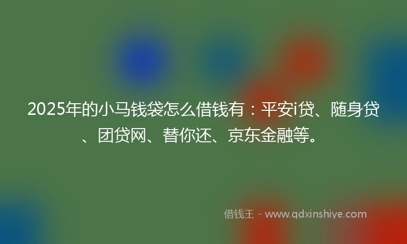 2025年的小马钱袋怎么借钱有：平安i贷、随身贷、团贷网、替你还、京东金融等。