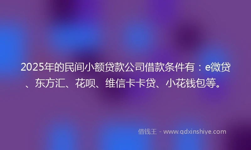 2025年的民间小额贷款公司借款条件有：e微贷、东方汇、花呗、维信卡卡贷、小花钱包等。