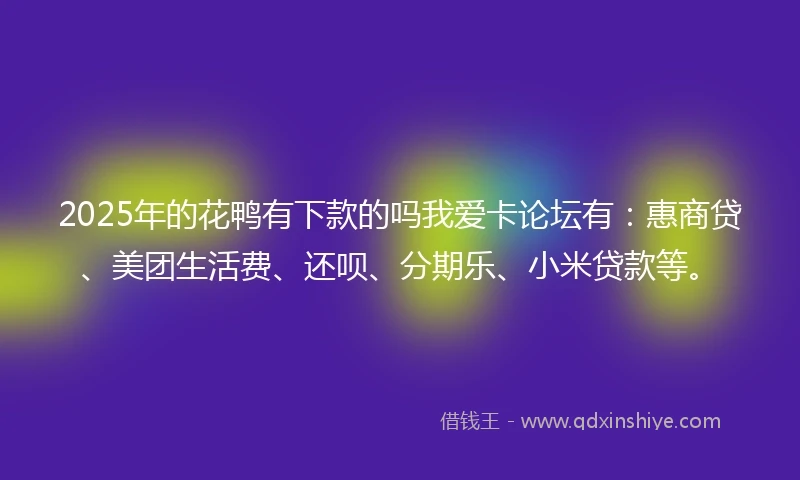2025年的花鸭有下款的吗我爱卡论坛有：惠商贷、美团生活费、还呗、分期乐、小米贷款等。