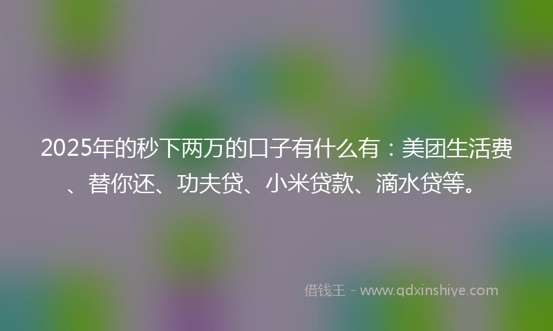 2025年的秒下两万的口子有什么有：美团生活费、替你还、功夫贷、小米贷款、滴水贷等。