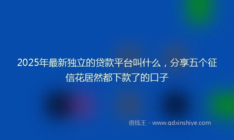 2025年最新独立的贷款平台叫什么，分享五个征信花居然都下款了的口子