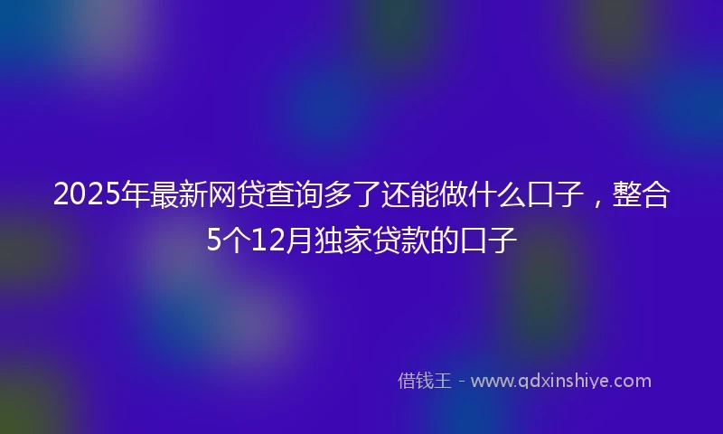 2025年最新网贷查询多了还能做什么口子，整合5个12月独家贷款的口子
