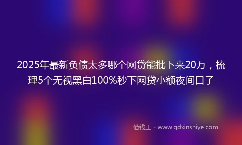 2025年最新负债太多哪个网贷能批下来20万，梳理5个无视黑白100%秒下网贷小额夜间口子