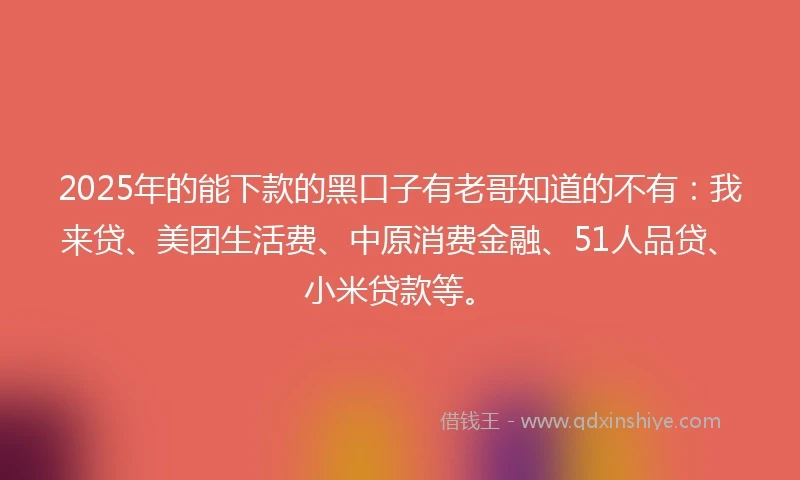2025年的能下款的黑口子有老哥知道的不有：我来贷、美团生活费、中原消费金融、51人品贷、小米贷款等。