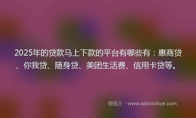 2025年的贷款马上下款的平台有哪些有：惠商贷、你我贷、随身贷、美团生活费、信用卡贷等。