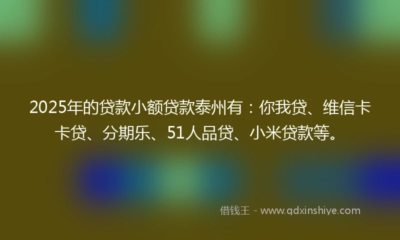 2025年的贷款小额贷款泰州有：你我贷、维信卡卡贷、分期乐、51人品贷、小米贷款等。