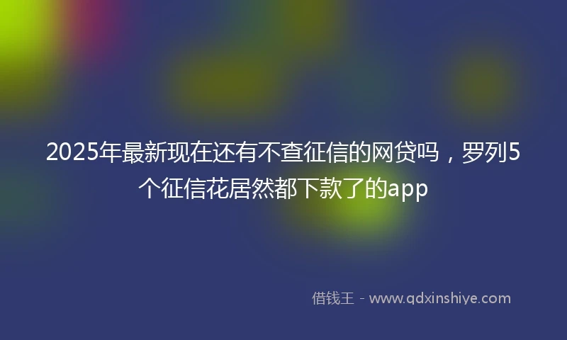 2025年最新现在还有不查征信的网贷吗，罗列5个征信花居然都下款了的app