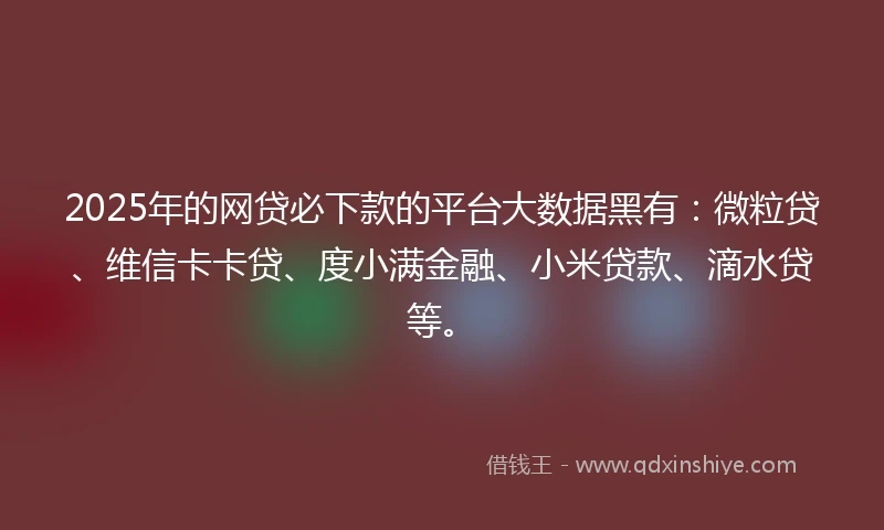 2025年的网贷必下款的平台大数据黑有：微粒贷、维信卡卡贷、度小满金融、小米贷款、滴水贷等。