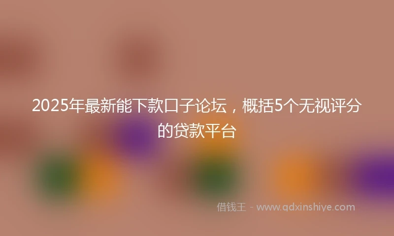 2025年最新能下款口子论坛，概括5个无视评分的贷款平台