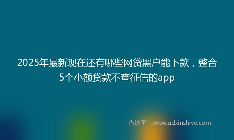 2025年最新现在还有哪些网贷黑户能下款，整合5个小额贷款不查征信的app