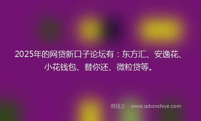 2025年的网贷新口子论坛有：东方汇、安逸花、小花钱包、替你还、微粒贷等。