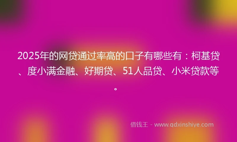 2025年的网贷通过率高的口子有哪些有：柯基贷、度小满金融、好期贷、51人品贷、小米贷款等。