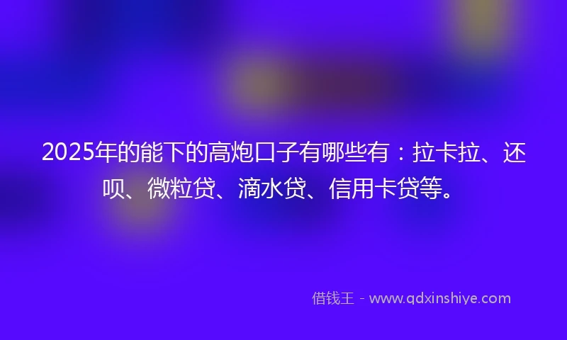 2025年的能下的高炮口子有哪些有：拉卡拉、还呗、微粒贷、滴水贷、信用卡贷等。