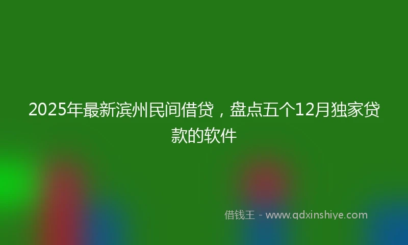 2025年最新滨州民间借贷，盘点五个12月独家贷款的软件